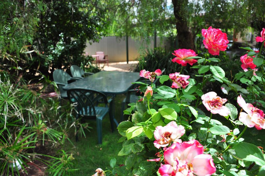 เดอะ โดฟ โคท Bed & Breakfast ทานันดา ภายนอก รูปภาพ