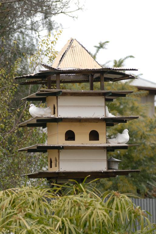 เดอะ โดฟ โคท Bed & Breakfast ทานันดา ภายนอก รูปภาพ